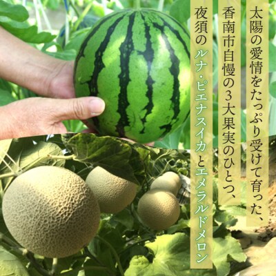 【先行受付】ルナ・ピエナスイカと夜須のエメラルドメロンセット 計2玉 yu-0015
