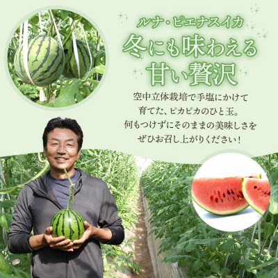 【先行受付】ルナ・ピエナスイカと夜須のエメラルドメロンセット 計2玉 yu-0015