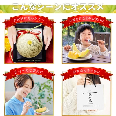【高知県産】一果相伝 マスクメロン 2玉 tn-0012