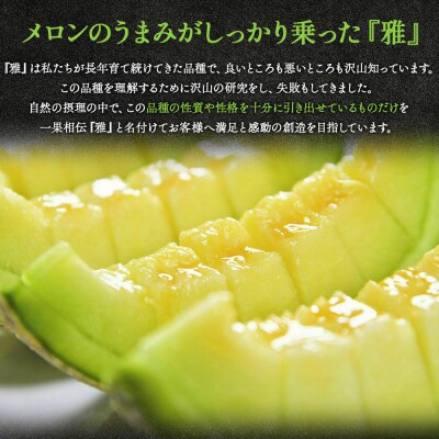 【上級品】赤肉メロン 青肉メロン 合計2玉  tn-0027