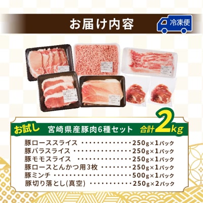 【2週間以内発送】≪宮崎県産≫豚肉6種＼てげスゲーセット/合計2kg_T009-030-2W