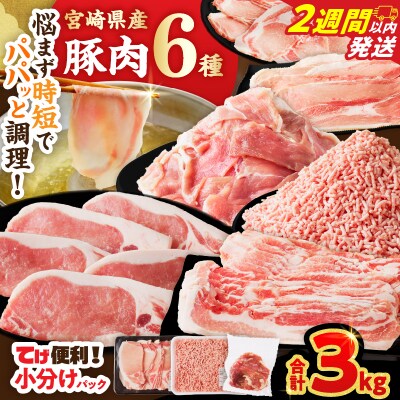 【2週間以内発送】≪宮崎県産≫豚肉6種＼てげスゲーセット/合計3kg_T009-031-2W