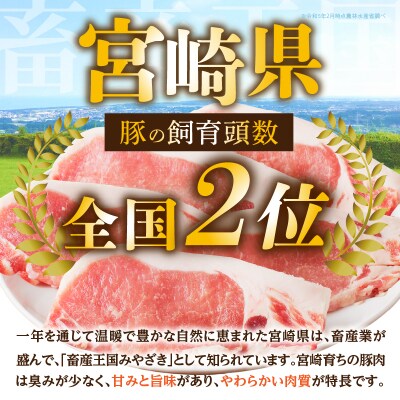 【2週間以内発送】≪宮崎県産≫豚肉6種＼てげスゲーセット/合計3kg_T009-031-2W