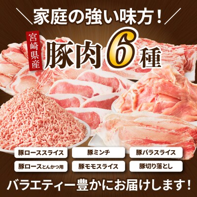 【2週間以内発送】≪宮崎県産≫豚肉6種＼てげスゲーセット/合計3kg_T009-031-2W