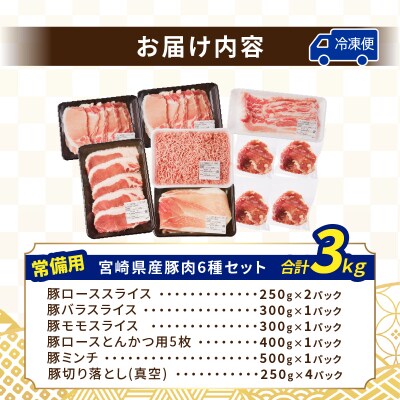 【2週間以内発送】≪宮崎県産≫豚肉6種＼てげスゲーセット/合計3kg_T009-031-2W