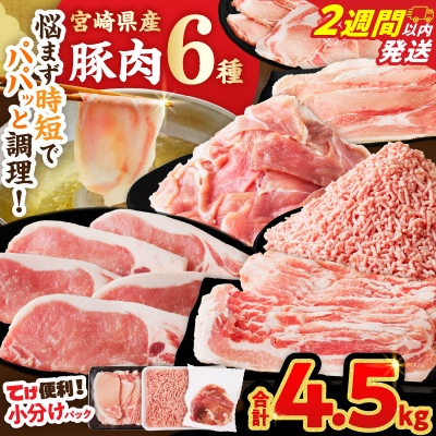 【2週間以内発送】≪宮崎県産≫豚肉6種＼てげスゲーセット/合計4.5kg_T009-032-2W