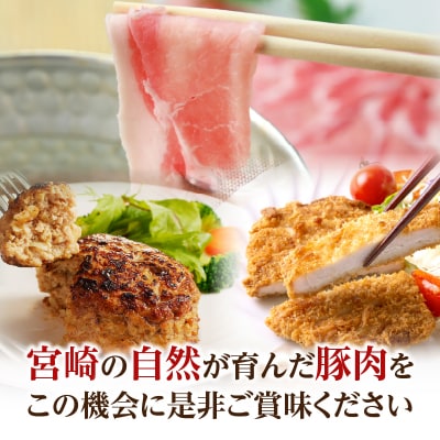 【2週間以内発送】≪宮崎県産≫豚肉6種＼てげスゲーセット/合計4.5kg_T009-032-2W