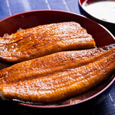 うなぎ蒲焼 約220g✕10尾 高知県産鰻 養殖 鰻蒲焼 ss-0037