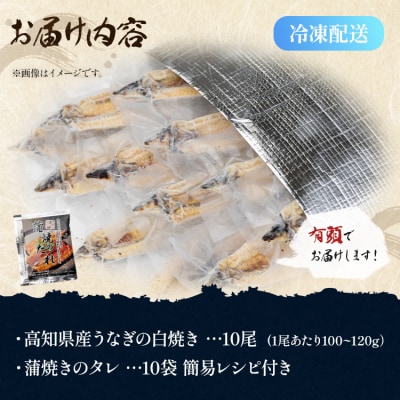 【蒲焼きタレ付き】うなぎ白焼き 10尾(1kg以上) 国産 鰻白焼 yw-0082