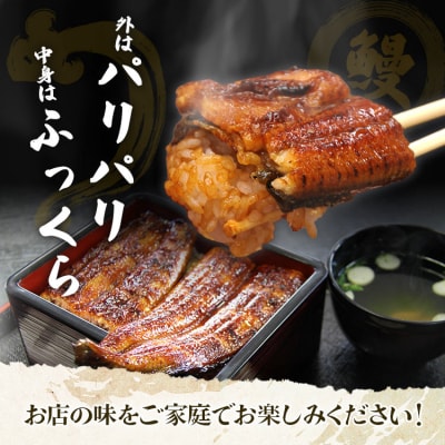 【6回定期便】うなぎ蒲焼き 120g✕3尾(無頭) 高知県産鰻 Wun-0029