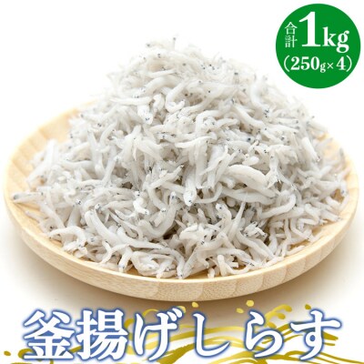 土佐名産 釜揚げしらす 約250g×4p tk-0012
