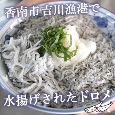 土佐名産 釜揚げしらす 約250g×4p tk-0012