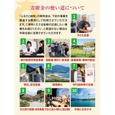 【返礼品なし】 岩手県陸前高田市への応援寄付金 1口 1,000円