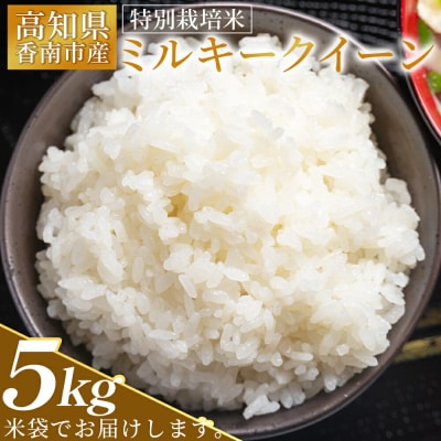 【令和8年8月下旬発送】特別栽培米 ミルキークイーン 5kg sr-0002