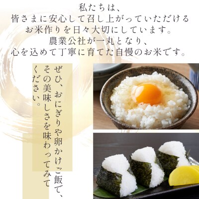 【特別栽培米】 コシヒカリ 2kg 無洗米 nu-0001