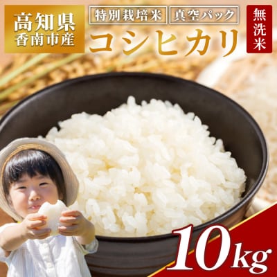特別栽培米 コシヒカリ 10kg 無洗米 高知県産 nu-0004