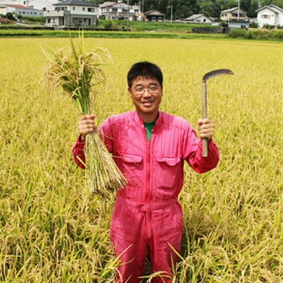 土佐の米よさこい舞 コシヒカリ 10kg 高知県産 kr-0072