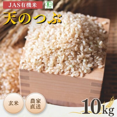 JAS有機米 天のつぶ 玄米 10kg 令和7年産 根本有機農園