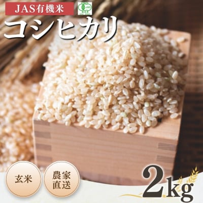 JAS有機米 コシヒカリ 玄米 2kg 令和7年産 根本有機農園