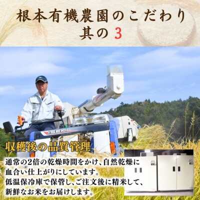 JAS有機米 コシヒカリ 玄米 2kg 令和7年産 根本有機農園