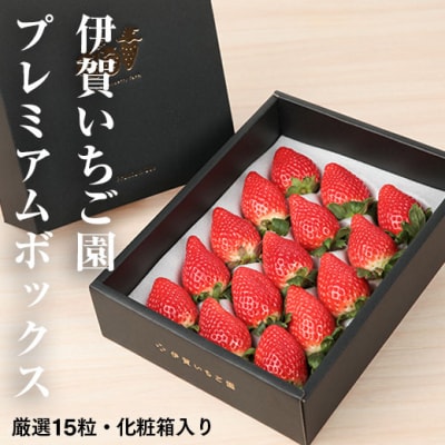 【数量限定】伊賀いちご園のプレミアムボックス(厳選15粒化粧箱入り)【1800601】