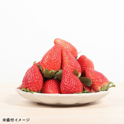 【数量限定】伊賀いちご園のプレミアムボックス(厳選15粒化粧箱入り)【1800601】