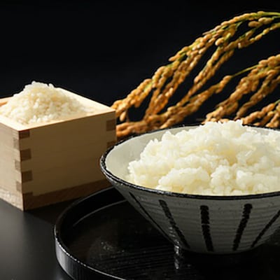 令和7年産米 無洗米 コシヒカリ+天のつぶ 10kg(5kg×2種)【53845-002-01】