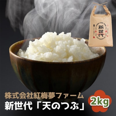 天のつぶ 新世代 白米 2kg | 令和7年産 2025年産 精米 米 2キロ 紅梅夢ファーム