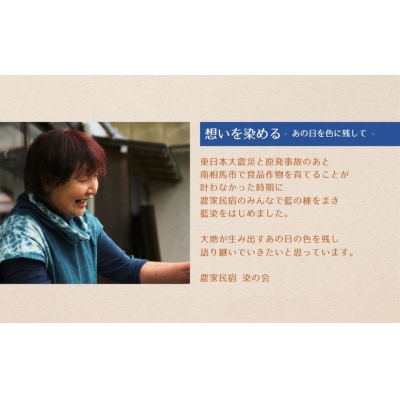 本藍染め 手ぬぐい 馬と蹄鉄 オーガニックコットン100% 天然藍灰汁発酵建て【2000401】