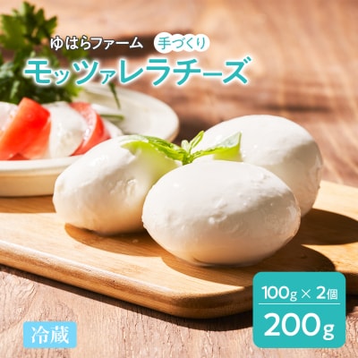 手作りモッツァレラチーズ　福島　南相馬市産【6100101】