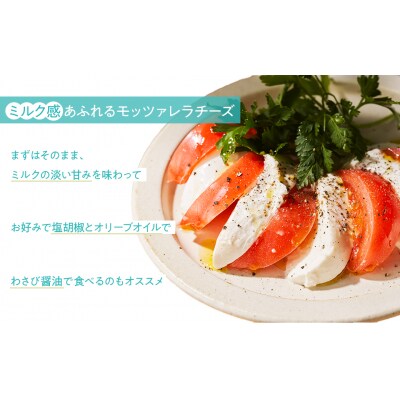 手作りモッツァレラチーズ　福島　南相馬市産【6100101】