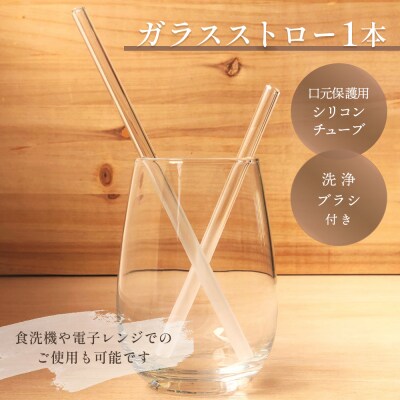 iriser(イリゼ)ガラスストロー20cm「グラデーション」【08062】