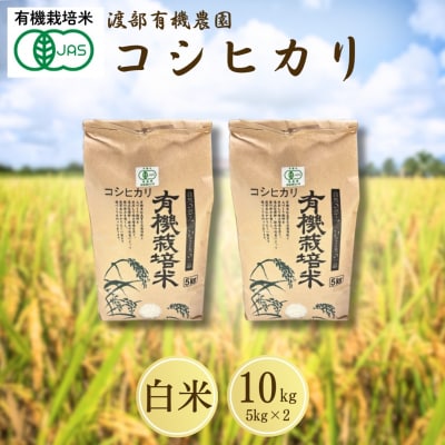JAS有機米 コシヒカリ 白米 10kg(5kg×2袋) 令和7年産 新米 | 有機米 渡部有機農園