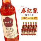 春紅麗(梅ワイン)180ml 12本セット【44013】