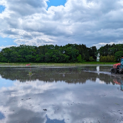 天のつぶ 白米 5kg 有機的栽培 令和7年産 | 栽培期間中農薬・化学肥料不使用 みさき未来
