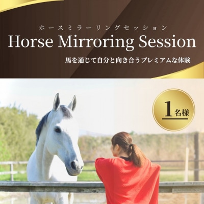 ホースミラーリングセッション 1名様 乗馬 自己内省 チームビルド 【148563-001】