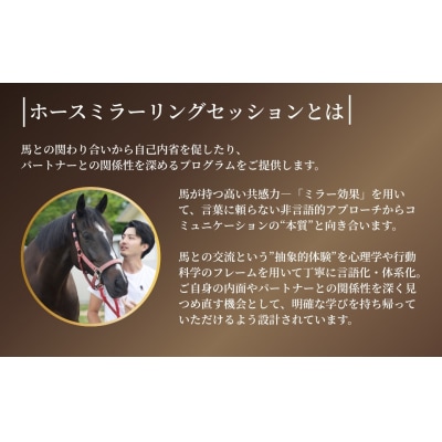 ホースミラーリングセッション 1名様 乗馬 自己内省 チームビルド 【148563-001】