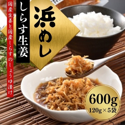 浜めししらす生姜 600g(120g×5袋) 【53852-004】