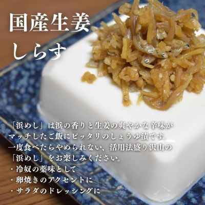 浜めししらす生姜 600g(120g×5袋) 【53852-004】