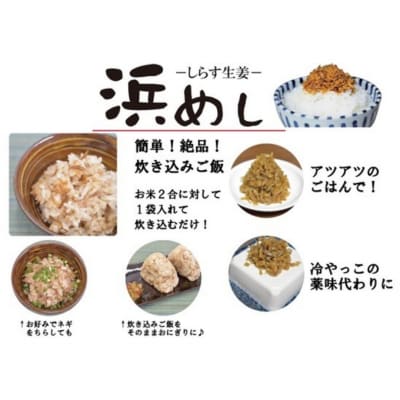 浜めししらす生姜 600g(120g×5袋) 【53852-004】