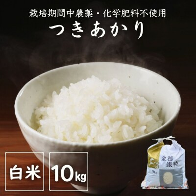 令和7年産 新米 つきあかり 白米 10kg | 大粒 栽培期間中農薬・化学肥料不使用 みさき未来