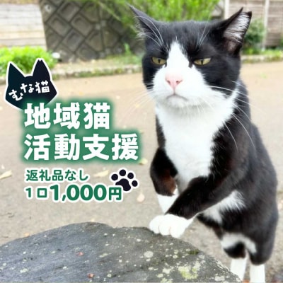 【返礼品なし】「むな猫(旧:てくてくさくらねこ)」　地域猫活動支援【むな猫】_HA1118