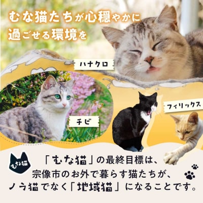 【返礼品なし】「むな猫(旧:てくてくさくらねこ)」　地域猫活動支援【むな猫】_HA1118
