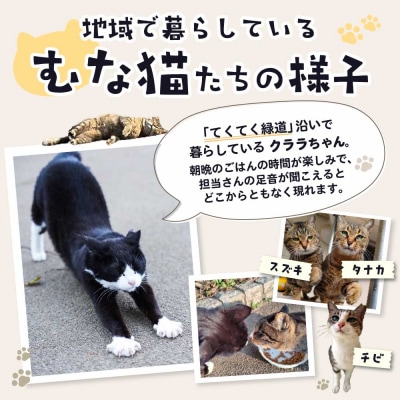 【返礼品なし】「むな猫(旧:てくてくさくらねこ)」　地域猫活動支援【むな猫】_HA1118