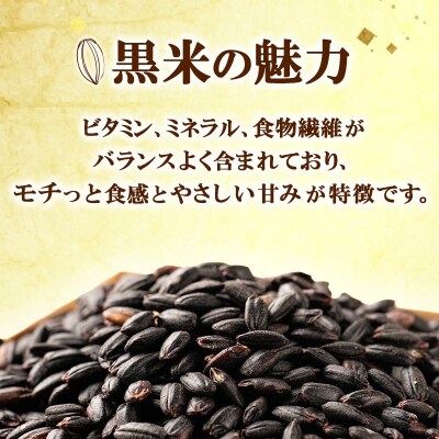 白神古代米 黒米 1kg×2袋 秋田県 能代市産[No.5335-0009]