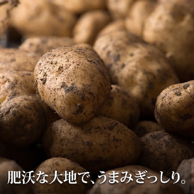 じゃがいもと玉ねぎのセット(各5kg)≪令和8年産先行受付!≫[012-190]