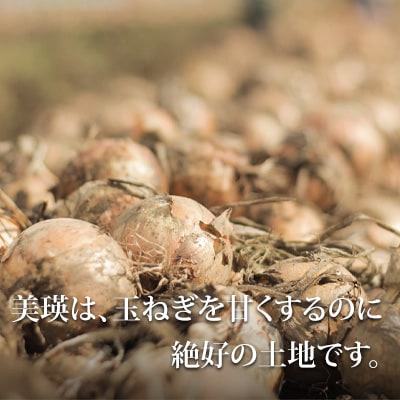 じゃがいもと玉ねぎのセット(各5kg)≪令和8年産先行受付!≫[012-190]