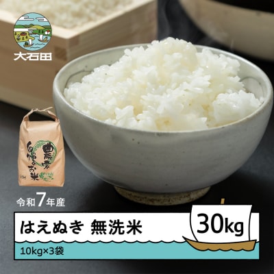 米 令和7年産 はえぬき 無洗米 30kg 10kg×3袋 順次発送 ap-hamxa10x3