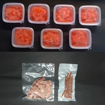 【ブリスモーク&鮭スティック付】北海道日高産 塩いくら小分けパック【全4回定期便】[15-848]