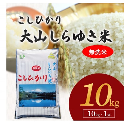令和7年産 大山しらゆき米 10kg　無洗米　コシヒカリ